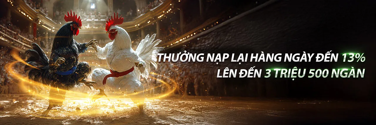Đấu trường đá gà trực tuyến okking79