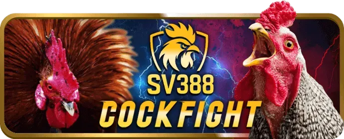 Cá cược thể thao OKKING79